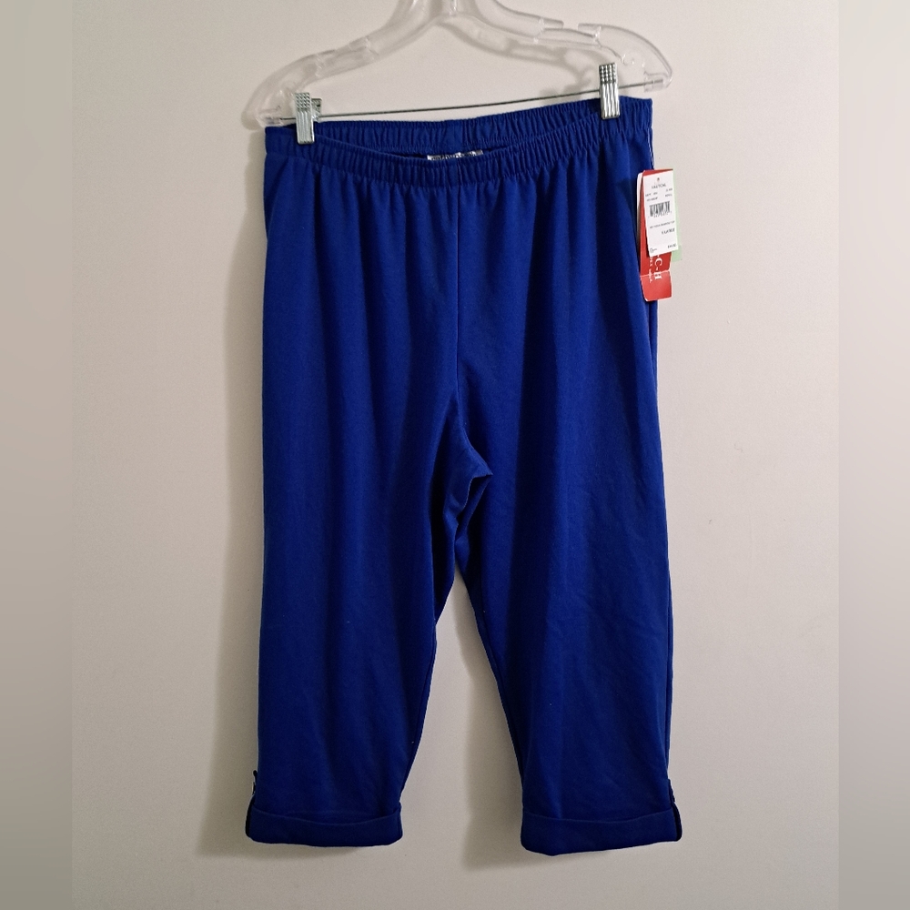 Cathy Daniel's elastic waist blue pants.